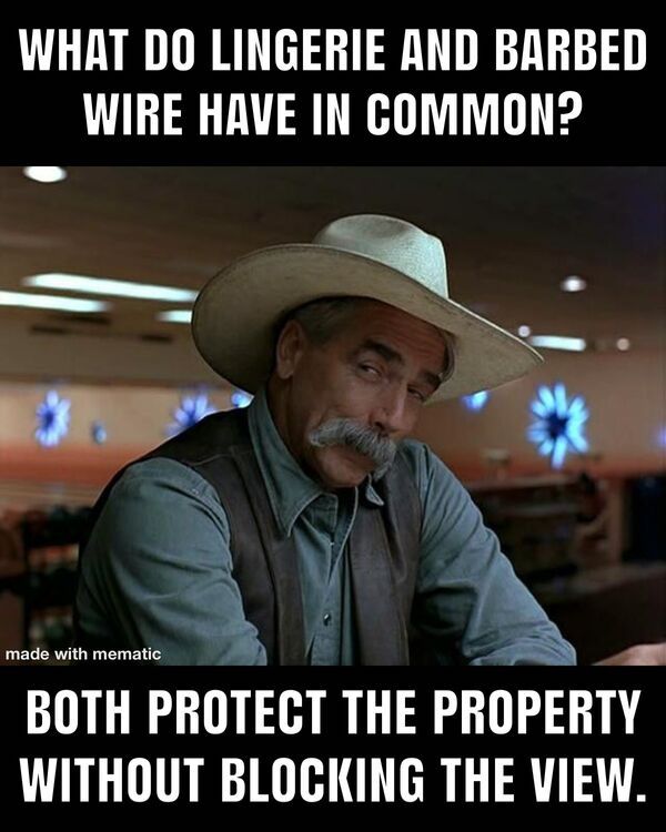 sam elliott birthday meme - What Do Lingerie And Barbed Wire Have In Common? made with mematic Both Protect The Property Without Blocking The View.