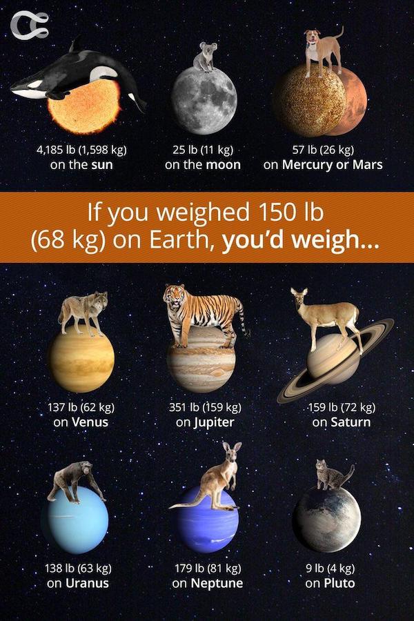 infographics - guides - much would you weigh on other planets - c 4,185 lb 1,598 kg on the sun 25 lb 11 kg on the moon 57 lb 26 kg on Mercury or Mars If you weighed 150 lb 68 kg on Earth, you'd weigh... 137 lb 62 kg on Venus 351 lb 159 kg on Jupiter 159 l
