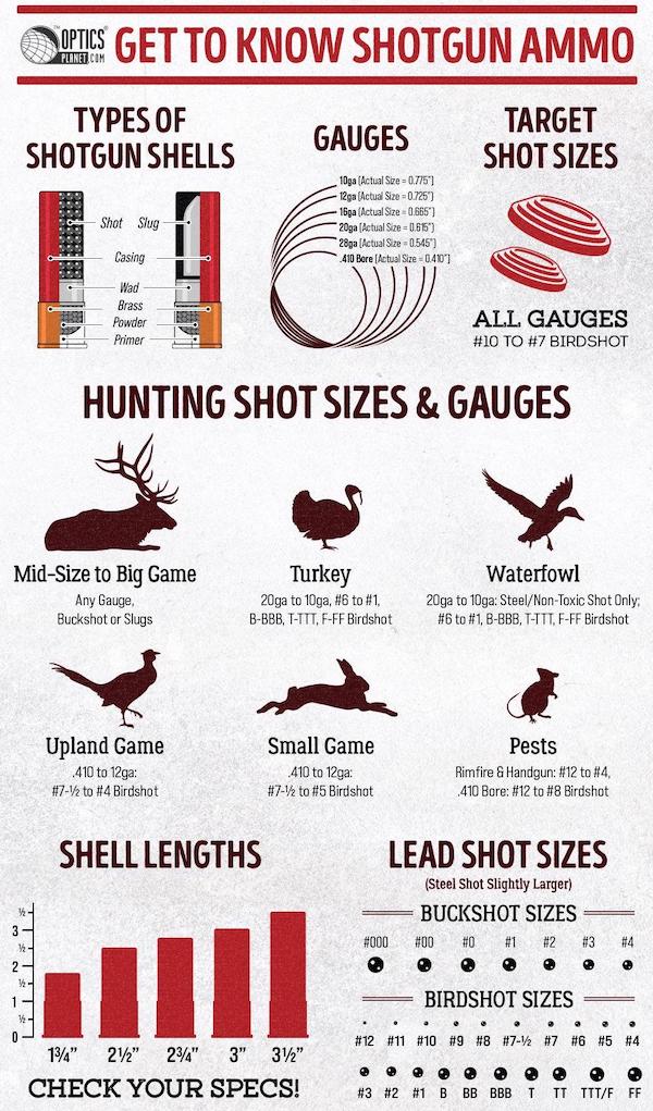 infographics - guides - Optics Get To Know Shotgun Ammo Planet.Com Types Of Shotgun Shells Gauges Target Shot Sizes Shot Slug 10ga Actual Size 0.775' 12ga Actual Size 0.725' 16ga Actual Size 0.665 20ga Actual Size 0.65 28ga Actual Size 0545 410 Bore Actua