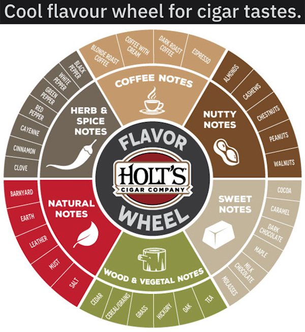 infographics - guides - marketing system - Cool flavour wheel for cigar tastes. Dark Roast Coffee Coffee With Cream Blonde Roast Coffee Espresso Oper Almonds Coffee Notes Pepper White Green Pepper Cashews Red Pepper Herb & Spice Notes Nutty Notes Chestnut