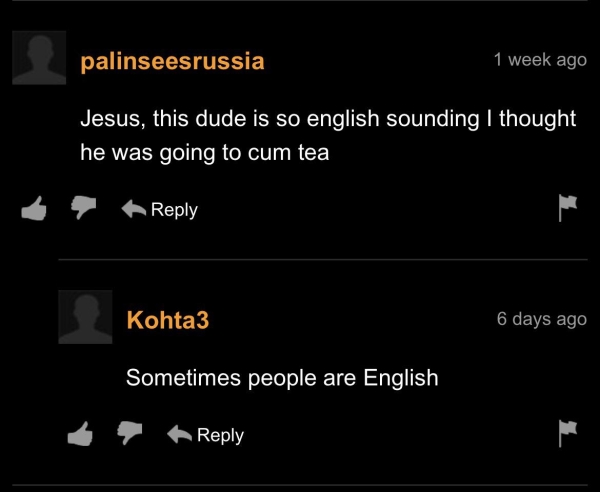 35 Pornhub Comments That Are Something Else.