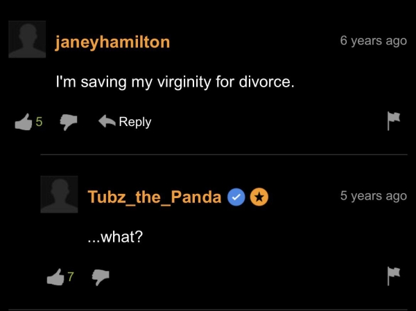 35 Pornhub Comments That Are Something Else.