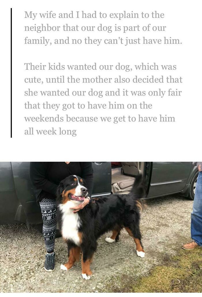 cringe - entitled people - dog - My wife and I had to explain to the neighbor that our dog is part of our family, and no they can't just have him. Their kids wanted our dog, which was cute, until the mother also decided that she wanted our dog and it was 