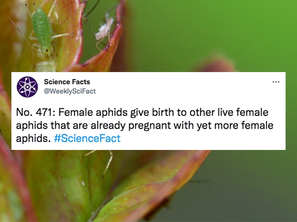 30 Insane Science Facts.