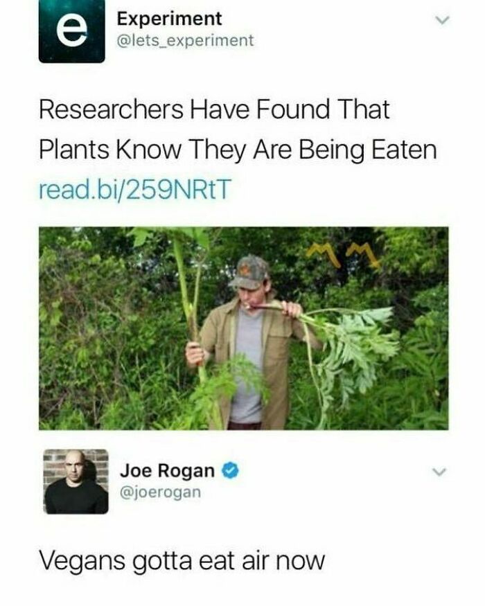 thats a wrap funny memes - e Experiment Researchers Have Found That Plants Know They Are Being Eaten read.bi259NRET Joe Rogan Vegans gotta eat air now