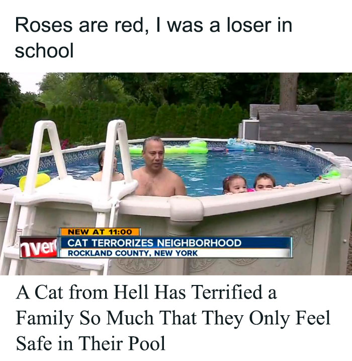 prime numbers poster - Roses are red, I was a loser in school Rinn Am hver New At Cat Terrorizes Neighborhood Rockland County, New York A Cat from Hell Has Terrified a Family So Much That They Only Feel Safe in Their Pool