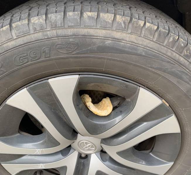 “Someone left a blueberry waffle in my car wheel.”