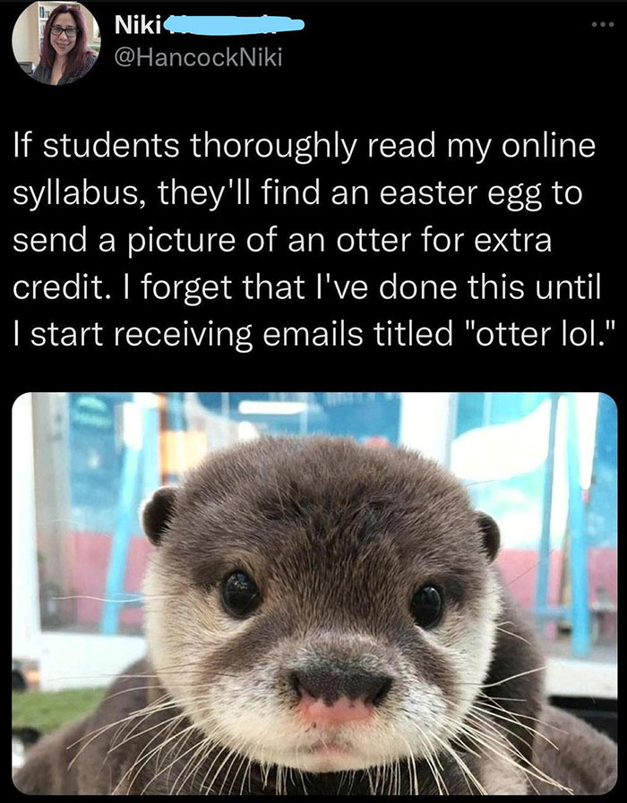 wholesome pics and memes - baby otter - ee Niki If students thoroughly read my online syllabus, they'll find an easter egg to send a picture of an otter for extra credit. I forget that I've done this until I start receiving emails titled "otter lol."