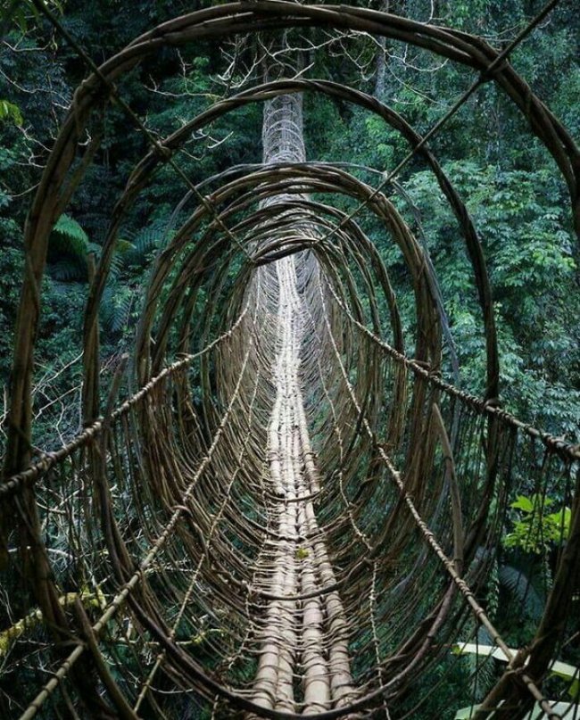 creepy photos - nightmare fuel - hanging bridge in arunachal pradesh