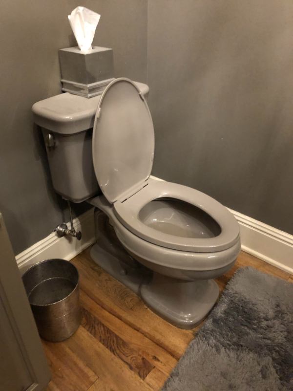 “My thanksgiving host has a grey toilet.”