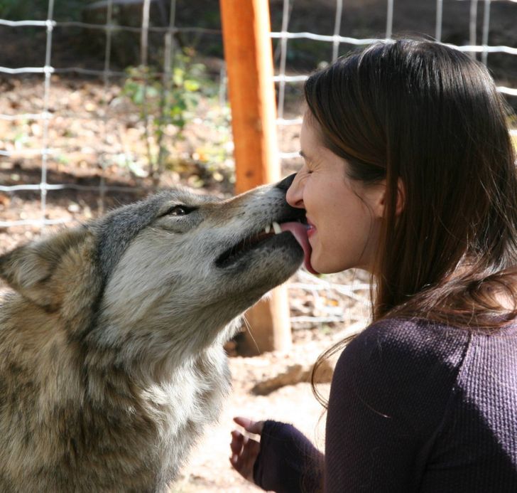 “I went to a wolf sanctuary this weekend. This is how they introduce themselves and decide if they like you.”