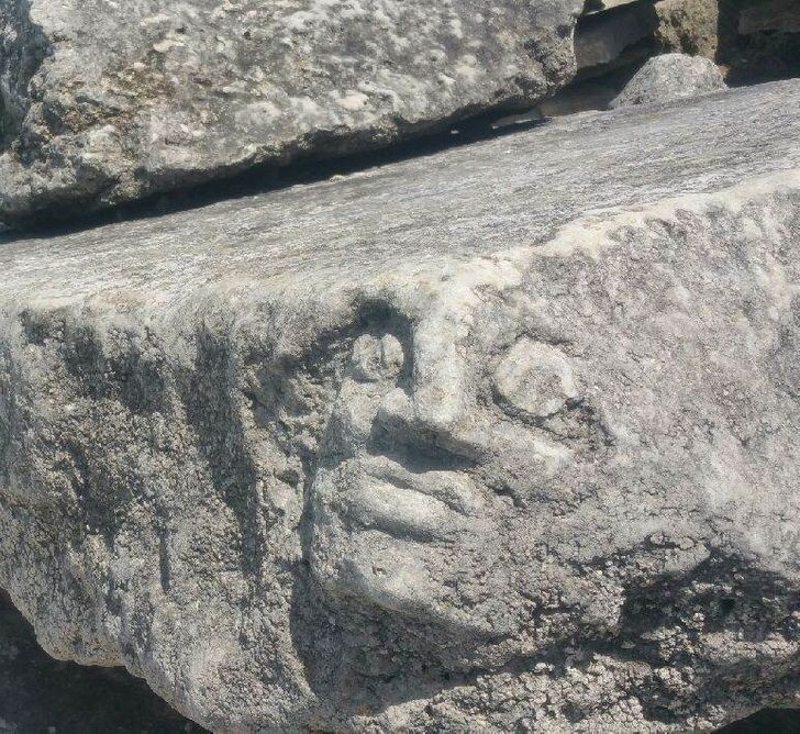 “Went fishing and looked over to see a rock staring at me.”