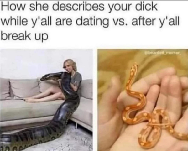 30 Sex Memes To Look At While Alone.