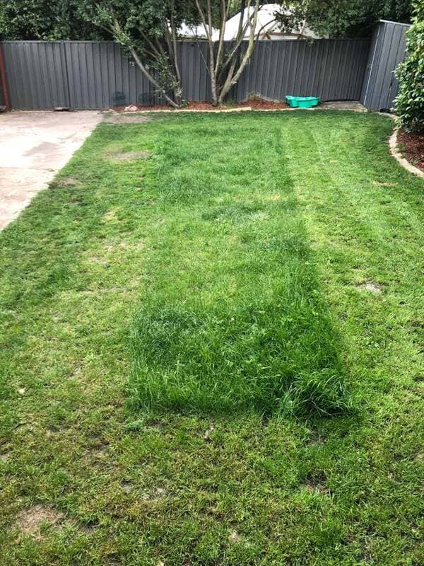 Lawnmower broke halfway through, now it has a landing strip instead of a Brazilian…