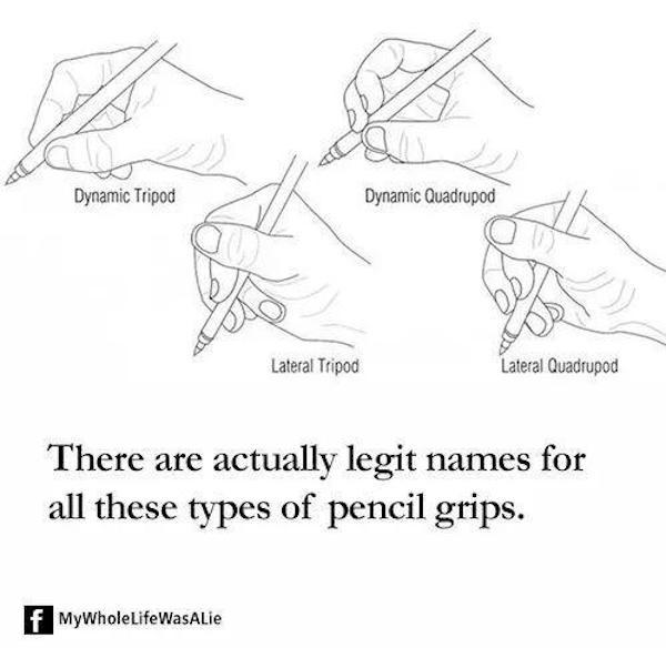 infographics - charts and graphs - lateral quadrupod pencil grip - R Dynamic Tripod Dynamic Quadrupod Lateral Tripod Lateral Quadrupod There are actually legit names for all these types of pencil grips. f MyWholeLifeWasAlie