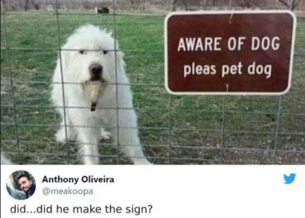 funny signs -