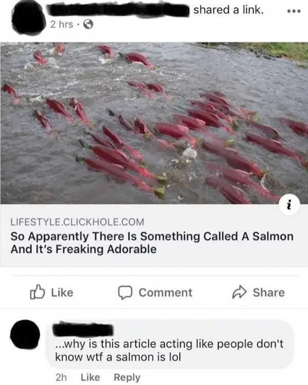 missed the joke  - salmon fish - d a link. . 2 hrs. Lifestyle.Clickhole.Com So Apparently There is something Called A Salmon And it's Freaking Adorable Comment ...why is this article acting people don't know wtf a salmon is lol 2h