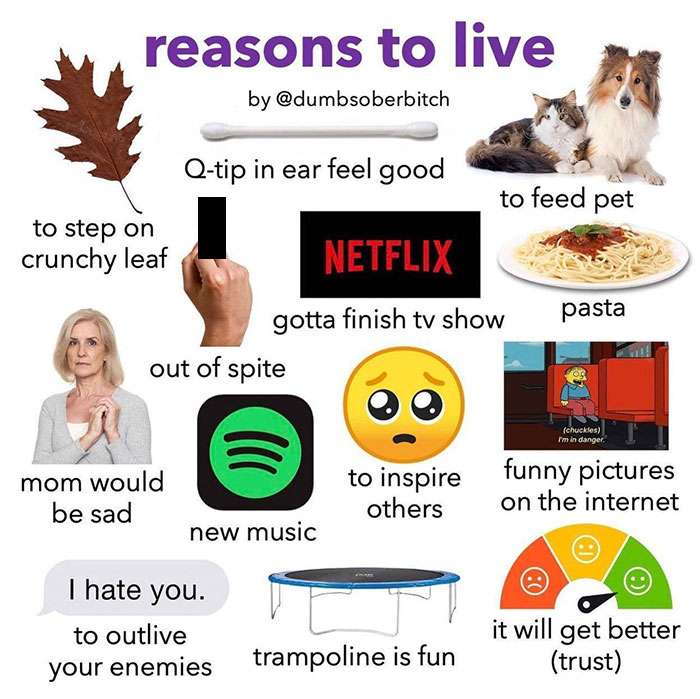 starter pack memes  - easy sketch pro - reasons to live by Qtip in ear feel good to feed pet to step on crunchy leaf Netflix gotta finish tv show pasta out of spite chuckles I'm in danger. mom would to inspire others funny pictures on the internet be sad 