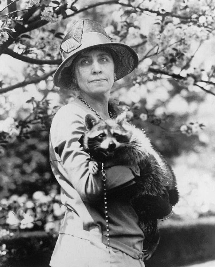 of Rebecca: a raccoon that had been sent to the White House to be served as the 1926 Thanksgiving dinner entrée. Coolidge instead adopted it as his pet.