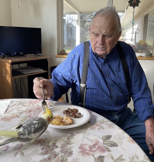 My grandpa and his bird eating breakfast with their matching hairstyles