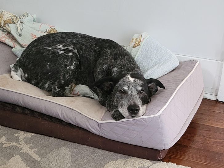 “This morning, I caught my 15-year-old buddy looking at me with a loving recognition that I haven’t seen from him in a while.”