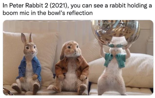 movie easter eggs - peter rabbit 2 boom mic - In Peter Rabbit 2 2021, you can see a rabbit holding boom mic in the bowl's reflection