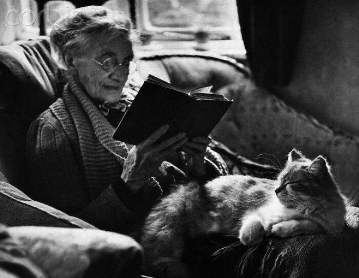 Historical Photos  - An Elderly Woman Reading A Book With A Cat On Her Lap, 1944