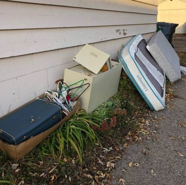 “Someone dumped their stuff on our alley plants.”