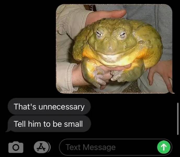 big frog - That's unnecessary Tell him to be small 4 Text Message 1