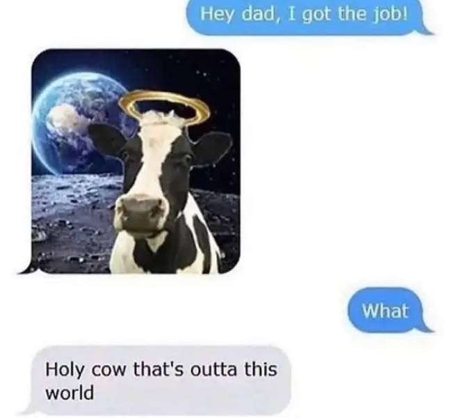 holy cow thats outta this world - Hey dad, I got the job! What Holy cow that's outta this world