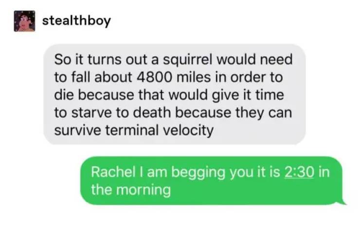 document - stealthboy So it turns out a squirrel would need to fall about 4800 miles in order to die because that would give it time to starve to death because they can survive terminal velocity Rachel I am begging you it is in the morning
