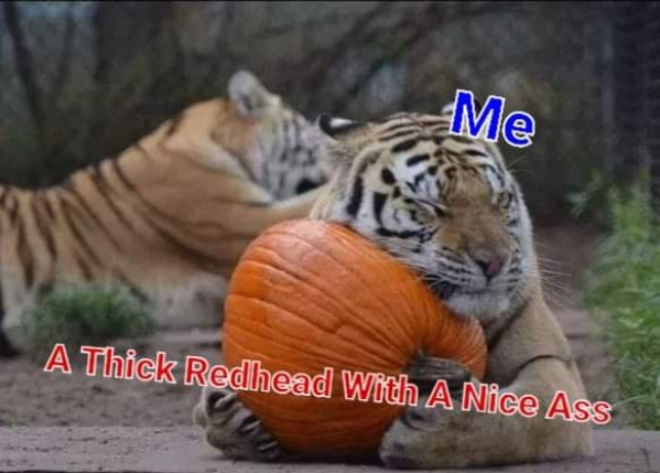 tiger and pumpkin - Me A Thick Redhead With A Nice Ass