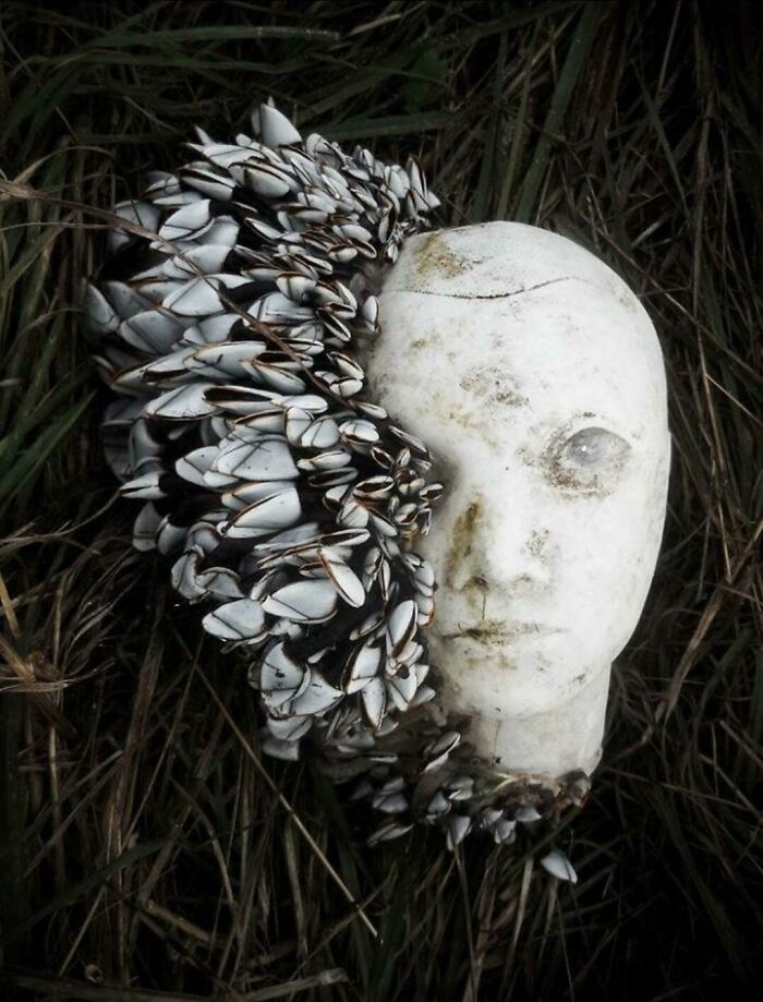 cool things - mannequin covered in barnacles