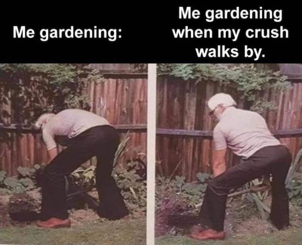 dirty memes and pics - fb cover - Me gardening Me gardening when my crush walks by.