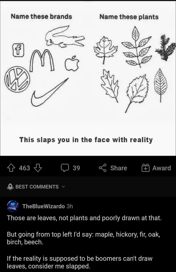 savage comments - name these brands name these plants - Name these brands Name these plants f This slaps you in the face with reality 463 39 Award Best TheBlue Wizardo 3h Those are leaves, not plants and poorly drawn at that. But going from top left I'd s