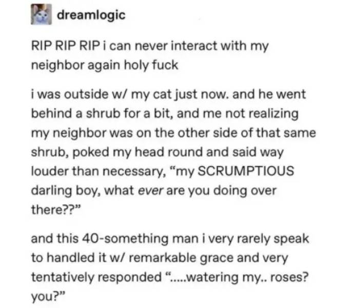 awkward moments - can never talk to my neighbors again - dreamlogic Rip Rip Rip i can never interact with my neighbor again holy fuck i was outside w my cat just now. and he went behind a shrub for a bit, and me not realizing my neighbor was on the other 