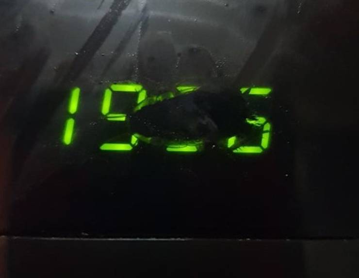 “Thought the clock on my microwave was glitching, turns out there is a cockroach stuck in it.”