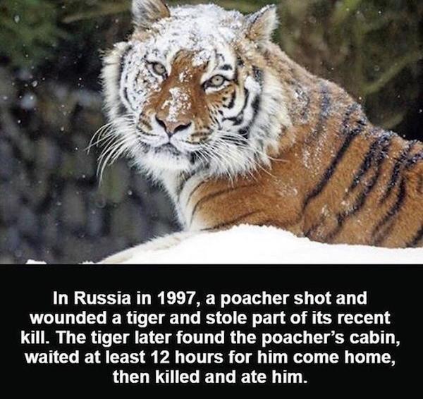 25 Insane Things That Actually Happened.