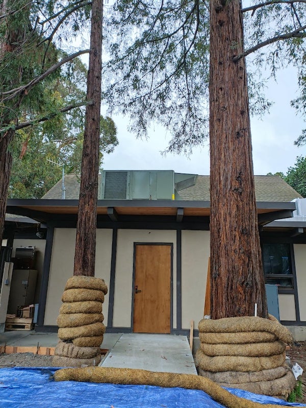 What are these ropes at the bottom of some trees.

A: Looks to be so that the construction going on there doesn’t accidentally damage the trunks. And that concrete doesn’t get splashed onto them, either.