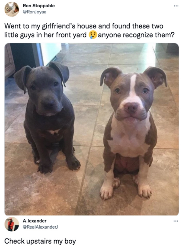 23 Funny Posts From Twitter This Week.