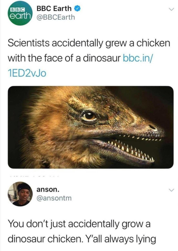 wtf memes - scientists accidentally grow dinosaur chicken - Bbc Bbc Earth earth Scientists accidentally grew a chicken with the face of a dinosaur bbc.in 1ED2vJo anson. You don't just accidentally grow a dinosaur chicken. Y'all always lying