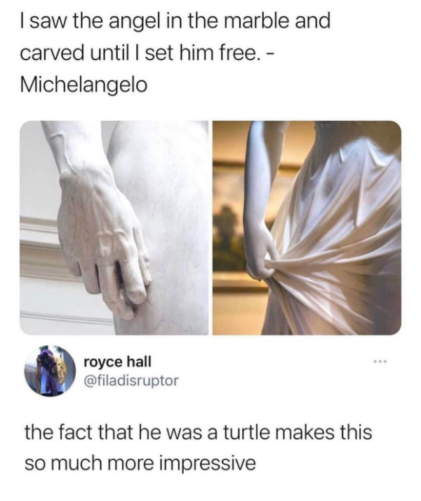 wtf memes - saw the angel in the marble meme - I saw the angel in the marble and carved until I set him free. Michelangelo royce hall the fact that he was a turtle makes this so much more impressive