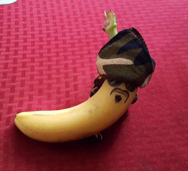 My husband gifted me a Bandana Banana.