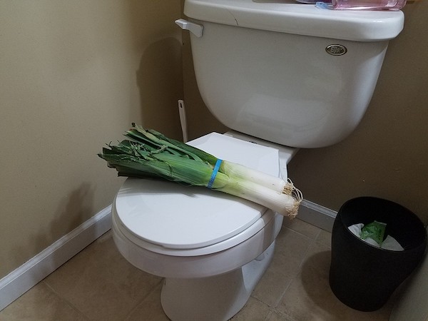 My daughter called me on my way back from the store stating that our toilet has a huge leak. I came home to this…