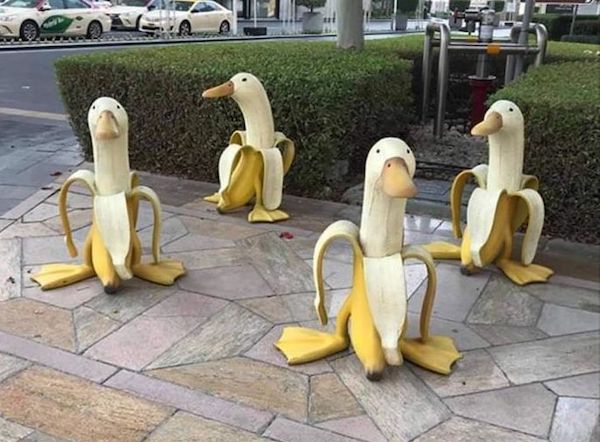 banana duck sculpture