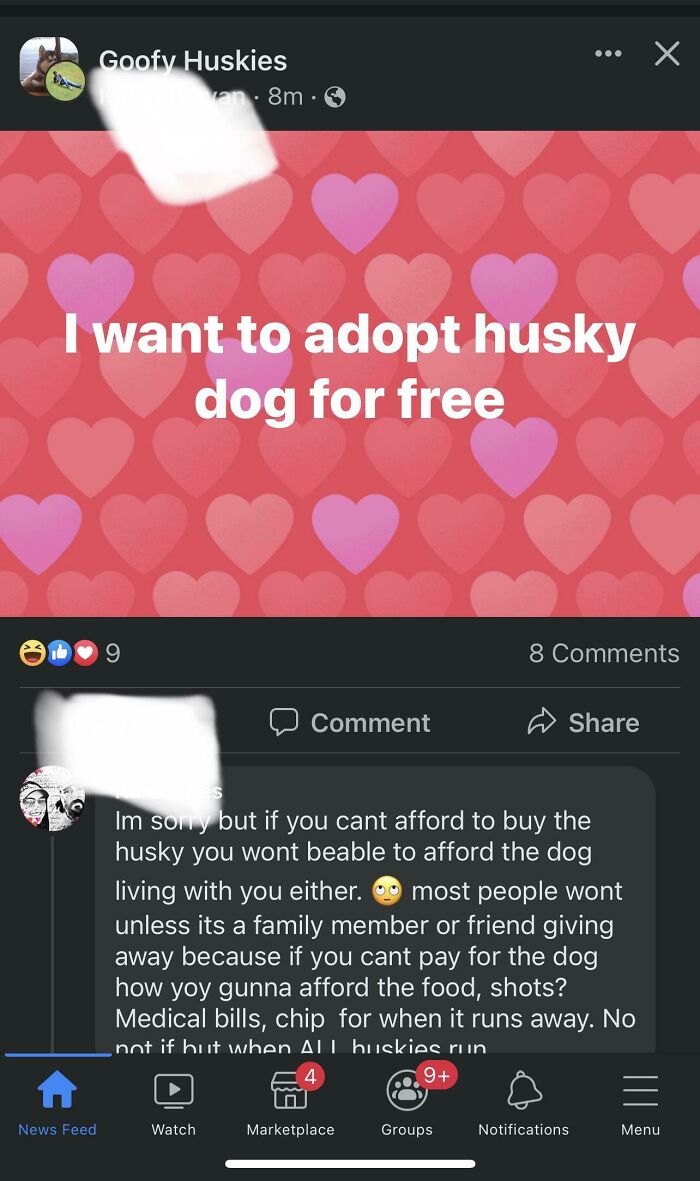 screenshot - ... X Goofy Huskies 8m. I want to adopt husky dog for free 8 Comment Im sorry but if you cant afford to buy the husky you wont beable to afford the dog living with you either. O most people wont unless its a family member or friend giving awa