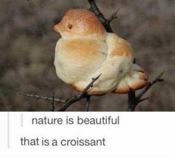 unlucky people - funny fails - nature is beautiful that is a croissant - nature is beautiful that is a croissant