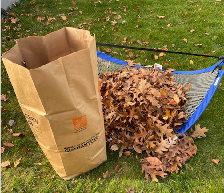 Kid’s soccer goal for some speedy bagging.