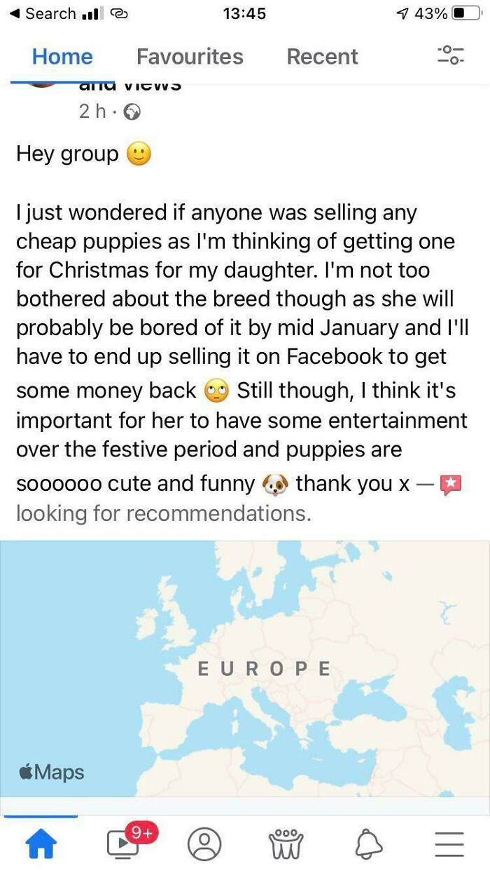 bad people - christmas - screenshot - Search | @ 1 43%O Home Favourites Recent O O alla vicVVS 2 h. Hey group I just wondered if anyone was selling any cheap puppies as I'm thinking of getting one for Christmas for my daughter. I'm not too bothered about 