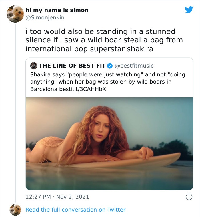 bizarre headlines - shakira wild boar meme - hi my name is simon i too would also be standing in a stunned silence if i saw a wild boar steal a bag from international pop superstar shakira The Line Of Best Fit Shakira says "people were just watching" and 
